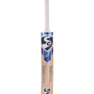 Kashmir Willow Bat